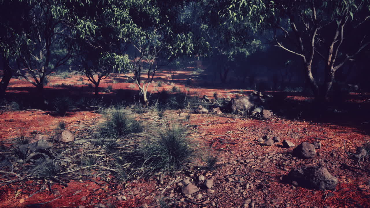 서부 오스트레일리아 의  ⁇ 버리 지역