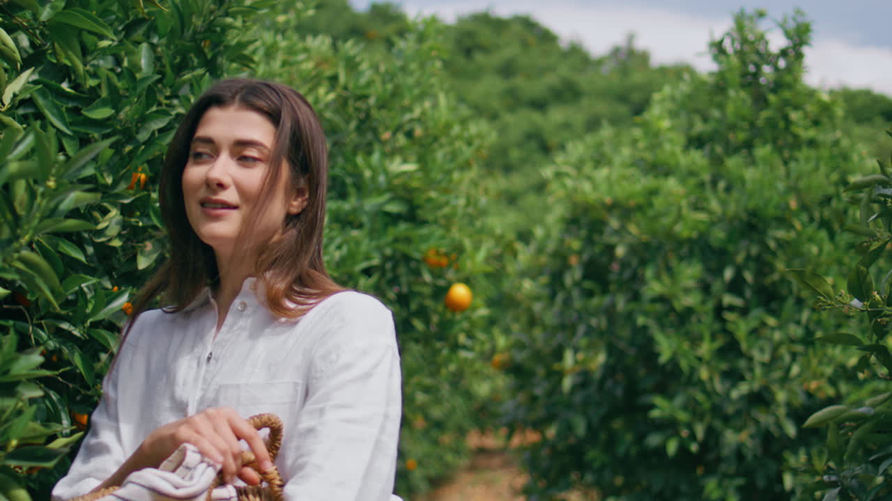 바구니를 들고 산책하는 빛 여인 시트러스 플랜테이션 클로즈업. 산책하는 여인