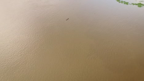 aerial view of a tiny indigenous canoe cruising the orinoco river delta