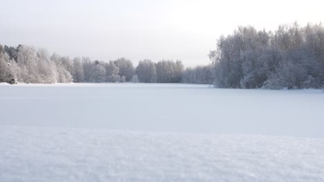 beautiful snow covered forest field landscape with snow falling in slow motion