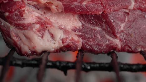 primer plano de filete a la parrilla sobre parrilla de carbón