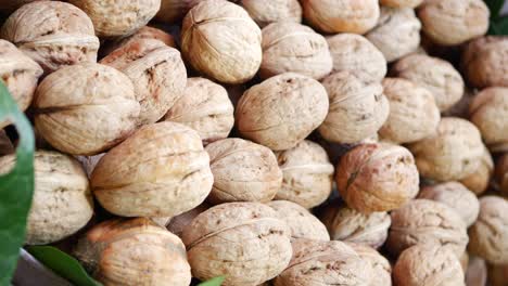 Pile of Walnuts