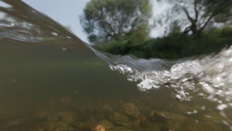 underwater view of a river