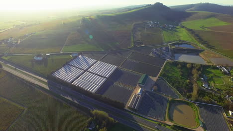 greenhouses foster growth