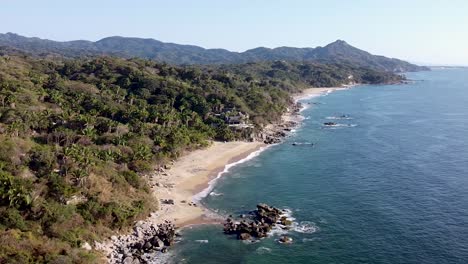 Panning-Aerial-Drone-Clip-Von-Wilden,-üppigen-Dschungelstränden-In-Sayulita,-Nayarit,-Mexiko