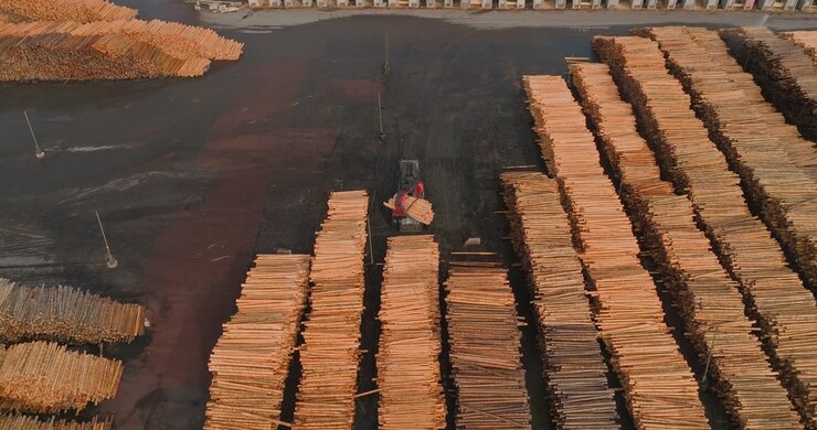 Ripresa aerea ravvicinata di numerose cataste di legname tagliato presso un grande impianto di lavorazione del legno, con un carrello elevatore che trasporta legname scortecciato e lo posiziona su pile di legname ordinatamente impilate nel deposito della segheria