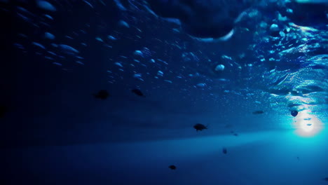 deep underwater scene with sunlight and fish