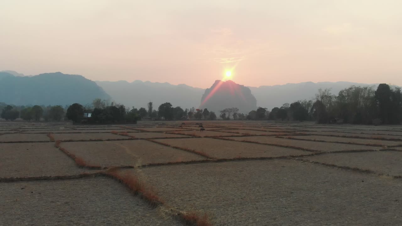 해가 지는 동안 라오스에서 먹이를 먹는 물 버팔로 위를 뒤로 날아다니는, 공중