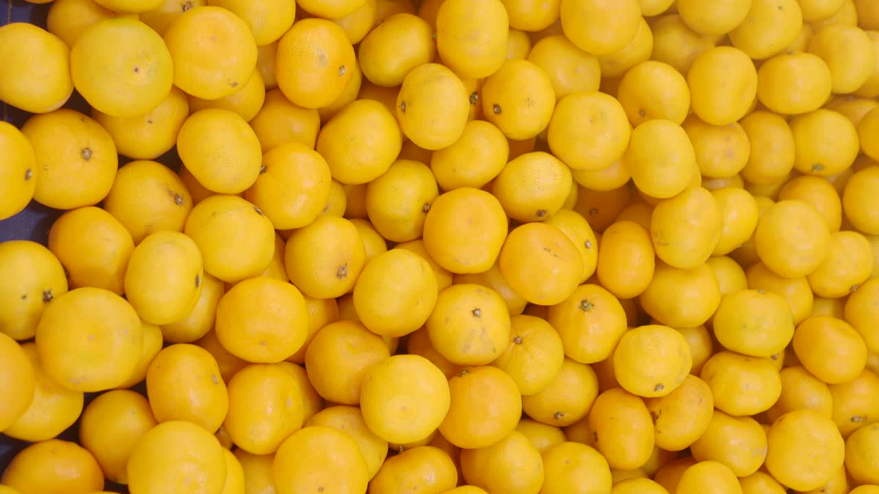 Freshly picked pile of oranges