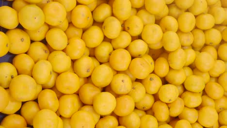 freshly picked pile of oranges