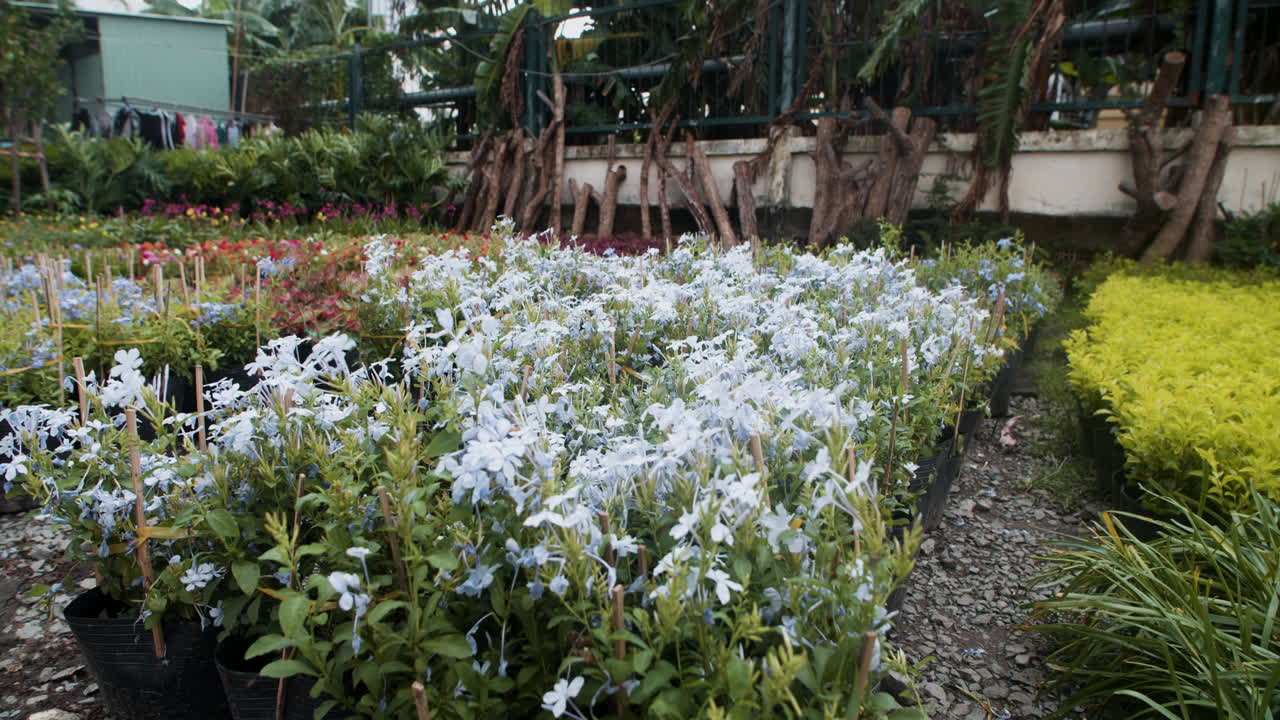 야외의 다채로운 꽃