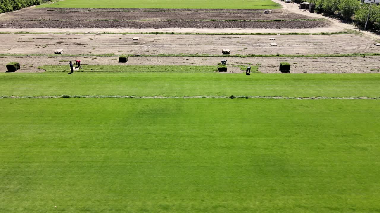 한 무리의 일꾼들이 농장에서 잘린 풀을 모아서 판매할 준비를 합니다, 일반 로카