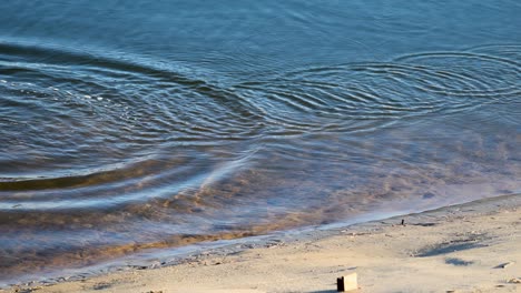 small waves and ripples move across a calm river or lake, gently lapping against a sandy shoreline in bright natural daylight, captured in a steady wide shot