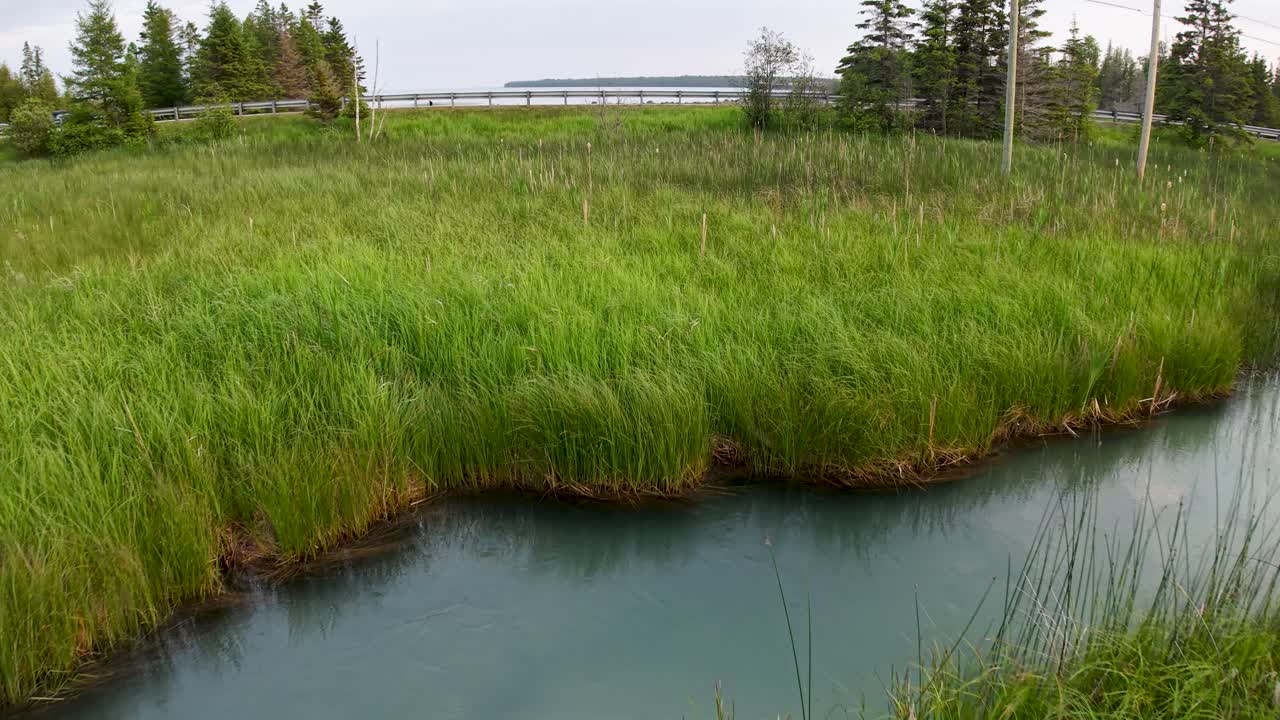 Aerial drone footage of a winding stream cutting through tall green grass in a lush marshland