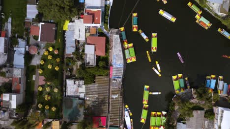 drone rises as colorful trajineras maneuver at xochimilco