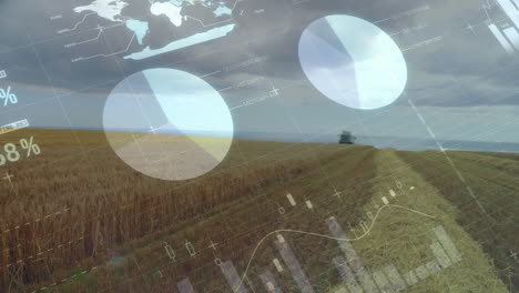 animación del procesamiento de datos financieros en el campo de la agricultura