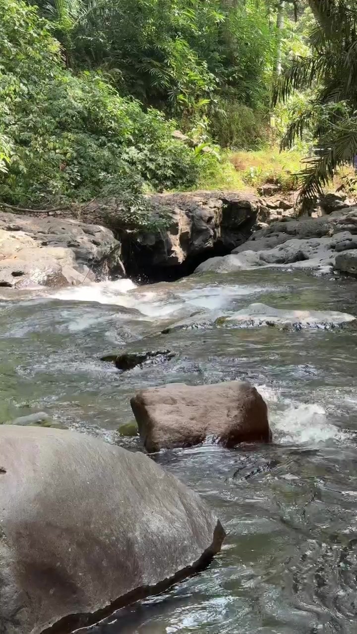Acqua di fiume che scorre sulle rocce in una foresta tropicale