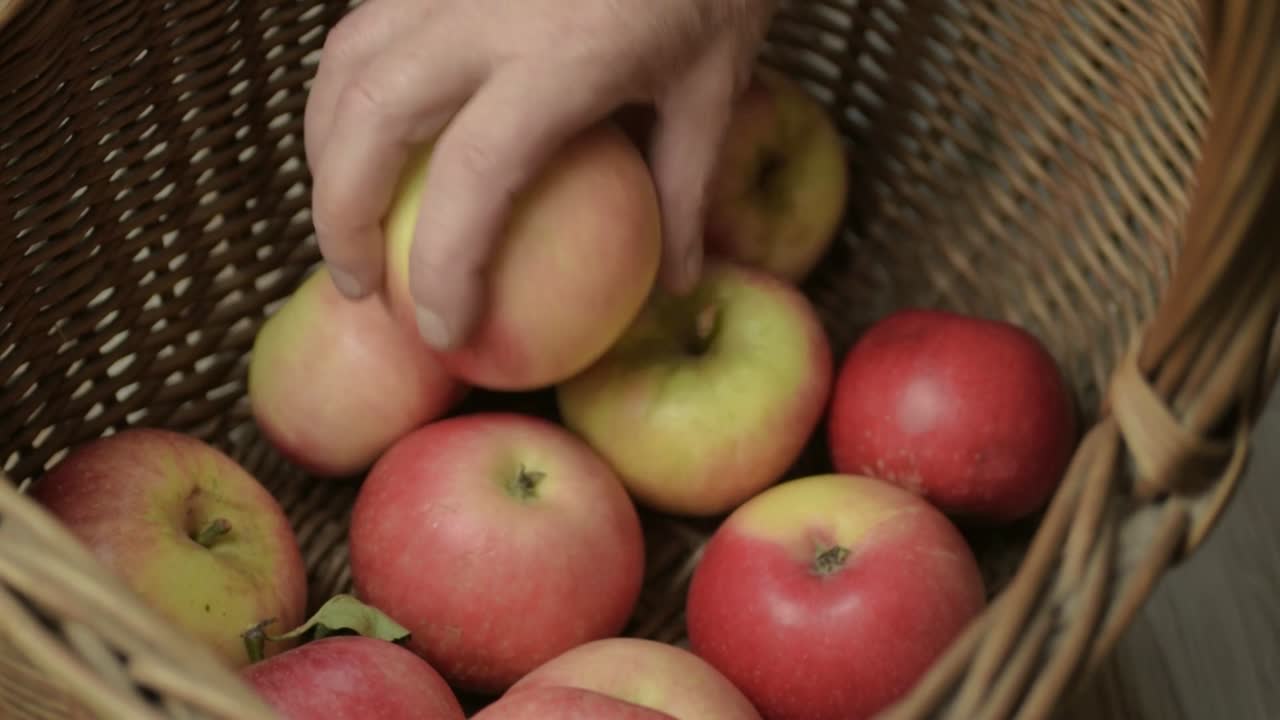 Hand filling a basket with fresh ripe red and yellow apples