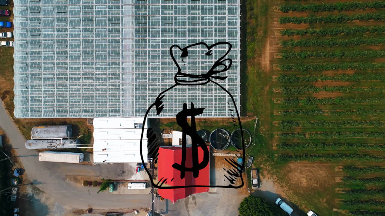 온실과 농경지의 공중 시야에서 돈 가방 애니메이션