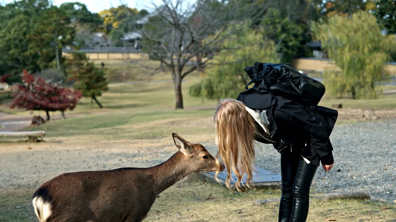 A heartwarming moment in Nara Park, Japan, where a girl and a deer share a gentle greeting.