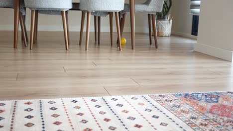 un aspirador limpiando un piso de madera en una sala de estar