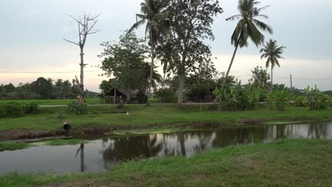 move and tracking the malays wooden house