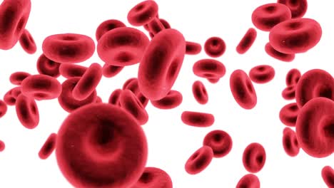 Digital-generated-red-blood-cells-against-white-background