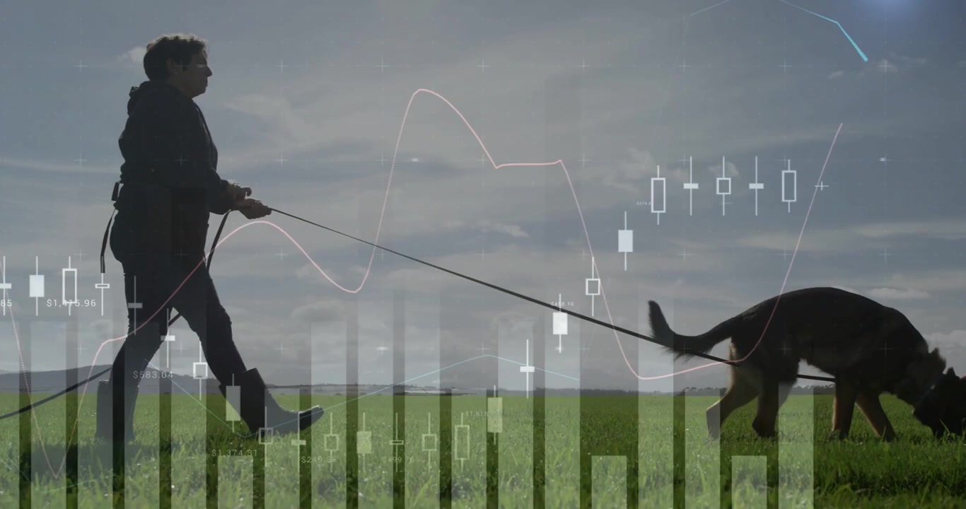 Vertikal video: Kvinde går tur med hund på mark, hunden trækker, hun holder kontrol med finansielle diagrammer overlejret.