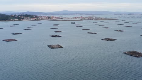 coastal scenery, multitude of bateas in ria de arousa