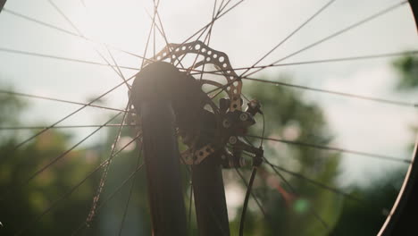 close-up of bicycle wheel rotating as sunlight creates a beautiful effect, casting a warm glow and dynamic movement through the spokes