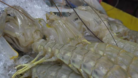 Camarones-Mantis-Frescos-Muertos-En-Un-Cubo-De-Hielo-En-La-Calle-Del-Mercado-De-Pescado-Asiático-De-Tailandia-A-La-Venta