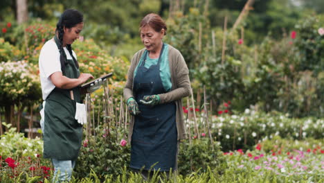 jardineros que trabajan al aire libre