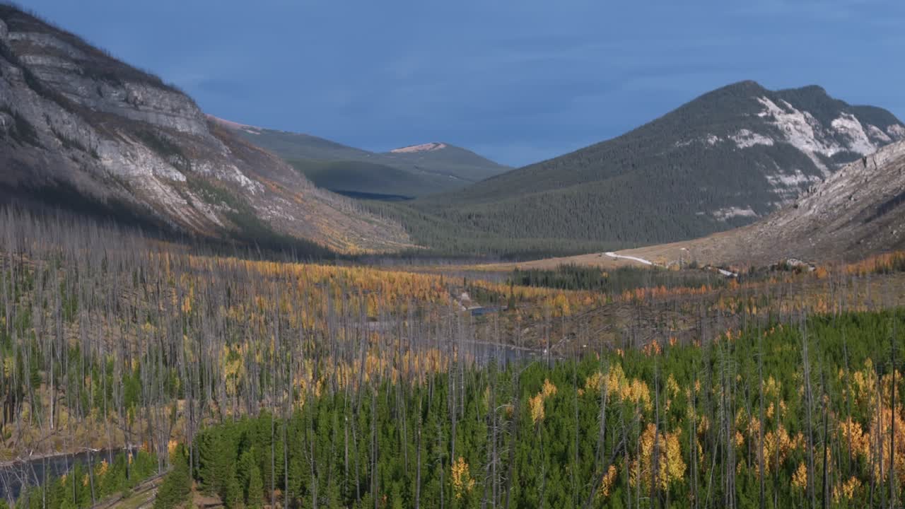 el río del ciervo rojo fluye de las montañas rocosas serpenteando a través de un bosque de árboles de hoja perenne y caducifolios durante el otoño haciendo una hermosa toma