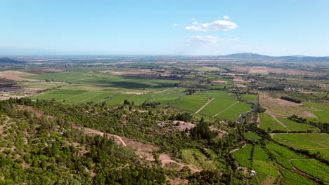 Panoramic-aerial-view-of-an-exclusive-vineyard-for-wine-production-in-the-middle-of-the-Maule-Valley-with-an-epic-light-from-the-side,-Chile