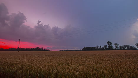 Timelapse-shot-of-sun-setting-along-red-sky-over-a-large-wheat-field-during-evening-time