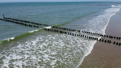 Seagull-flying-over-a-long-groyne-at-a-beach-in-the-Netherlands