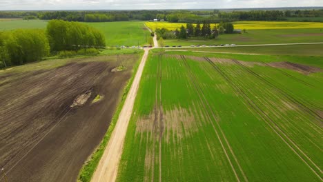 Disparo-De-Dron-Desde-La-Parte-Superior-De-Un-Campo-De-Cultivo