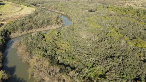 el río fluye a través del paisaje ribereño y el bosque ribereño