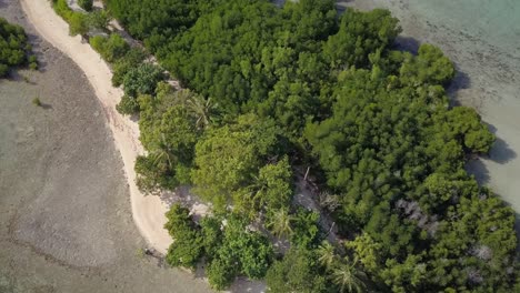 Vista-Aérea-De-Una-Pequeña-Isla-Tropical-Con-Muchos-árboles-Y-Manglares-En-Filipinas---Pedestal-De-Cámara-Arriba