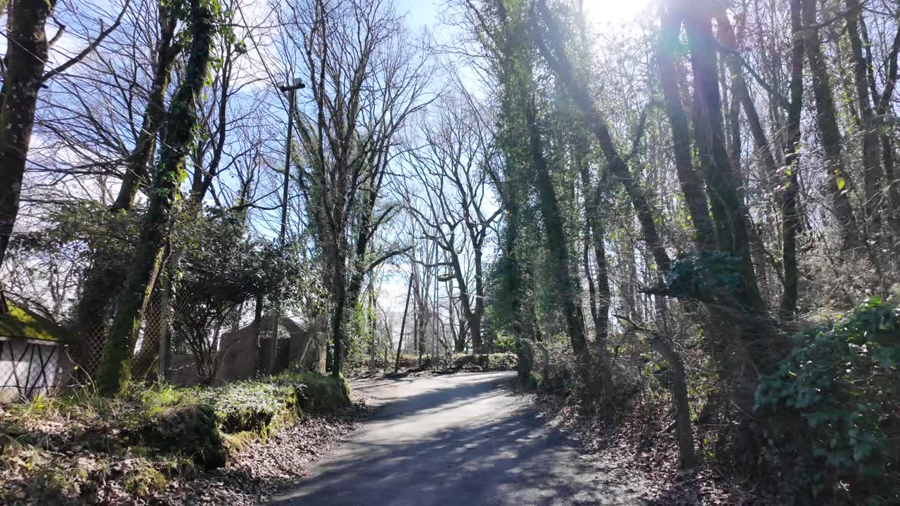 Luce solare che filtra attraverso gli alberi su un sentiero nel bosco
