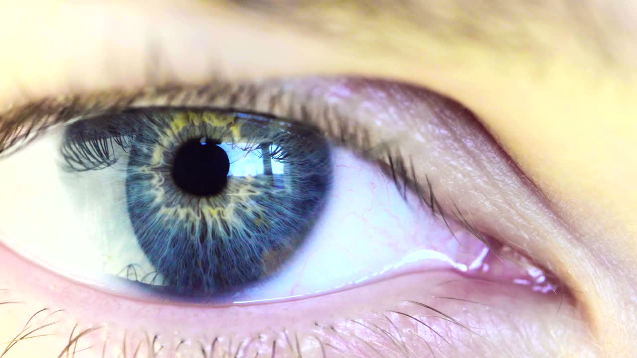 viendo la ventana del ojo. vista macro. video en bucle