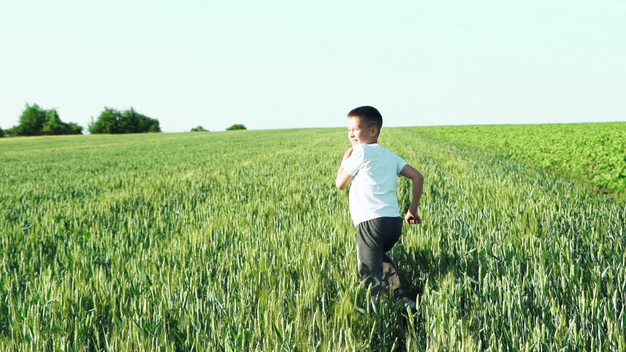 Happy child with his back is running away in the field on the background of green wheat and white sky at the weekend. Slow motion