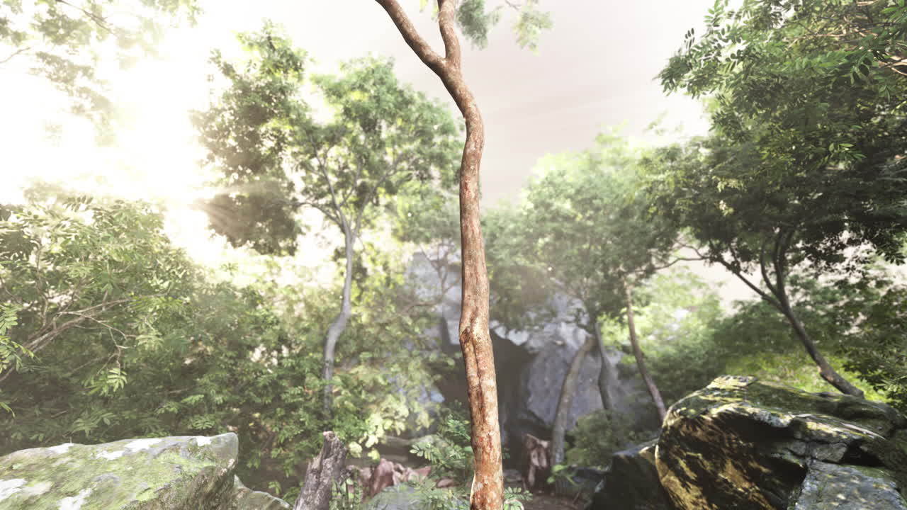 동굴 과 함께 빛 을 비치는 정글 장면