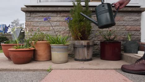 watering patio plant pots with a green watering can in slight slomo