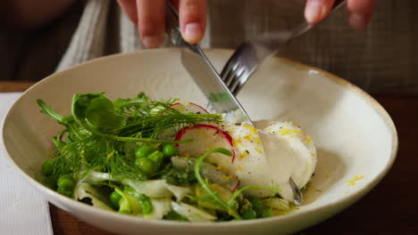 fresh burrata cheese salad with green herbs in a white bowl