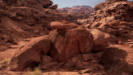 panorama from bottom of grand canyon