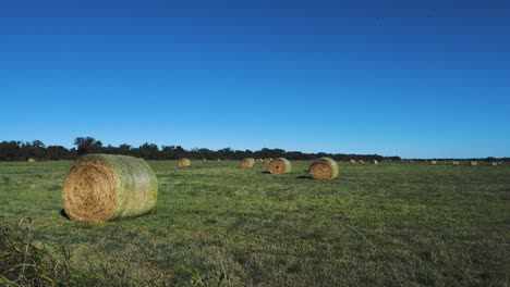 rolled hay on open land in texas