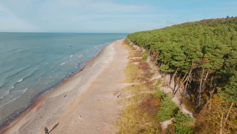 Aerial-view-the-Baltic-Sea-coast,-a-gently-rolling-sea,-a-sandy-beach-and-green-pine-forest