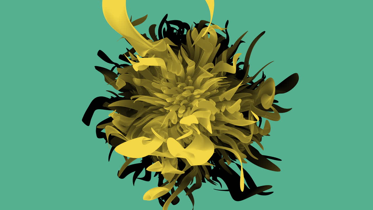 belleza contrastante flor amarilla llamativa de pétalos rayados negros y blancos