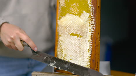 uncapping honeycombs. production of clear organic acacia honey. beekeeper removes wax from honeycombs with knife to extract honey